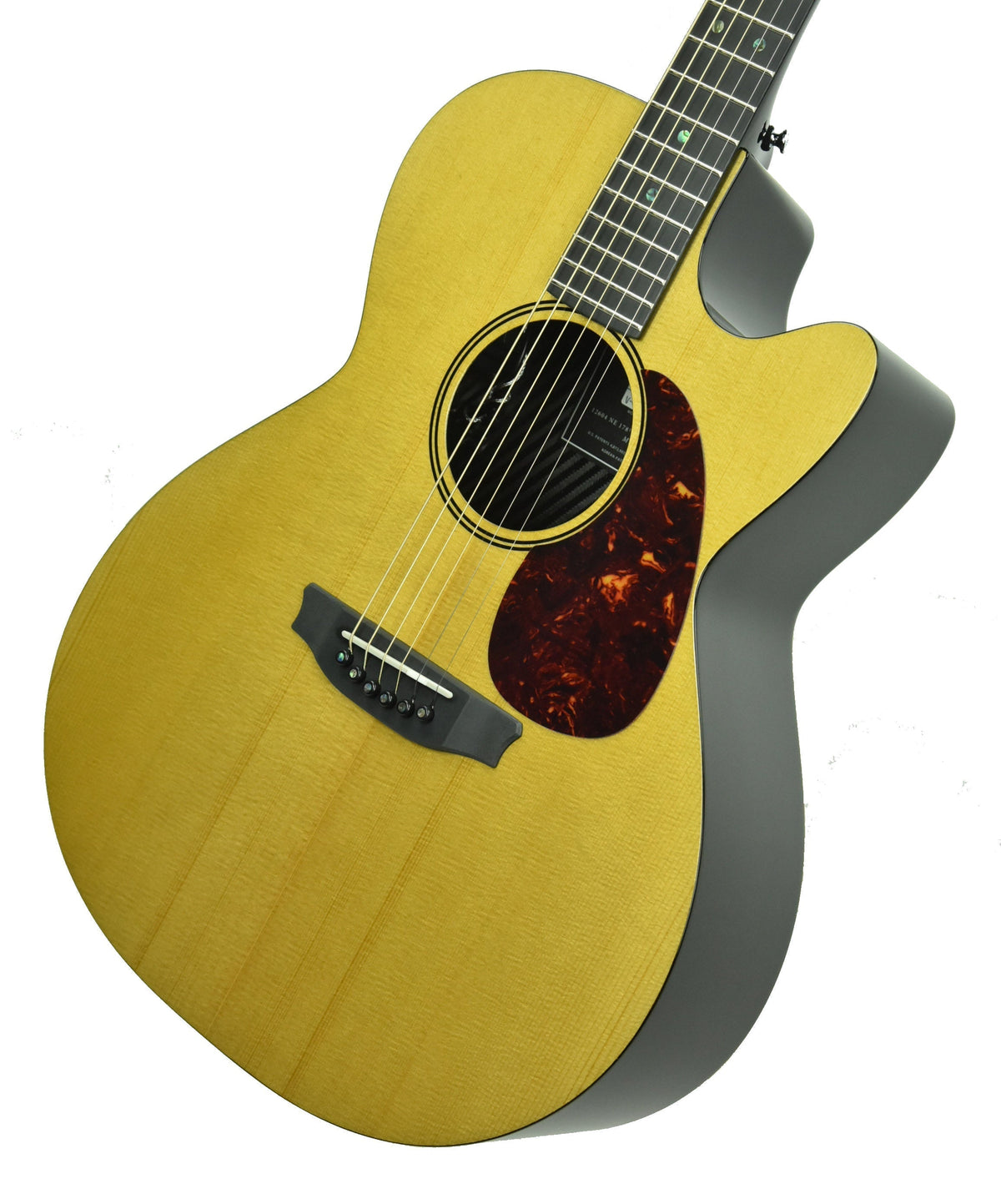 Rainsong V-WS1000N2X Vintage Series Hybrid Acoustic Guitar 19789