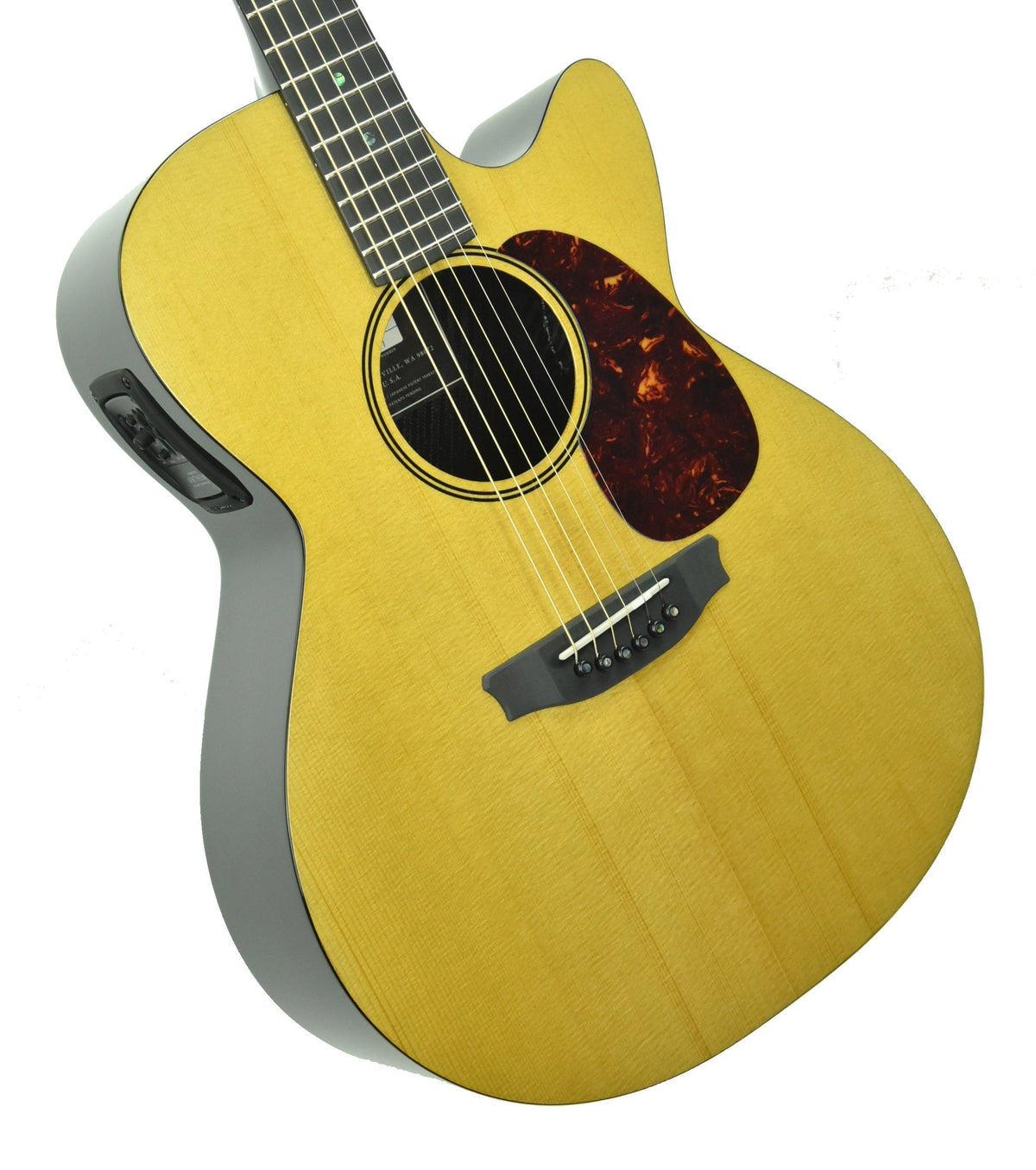 Rainsong V-WS1000N2X Vintage Series Hybrid Acoustic Guitar 19789