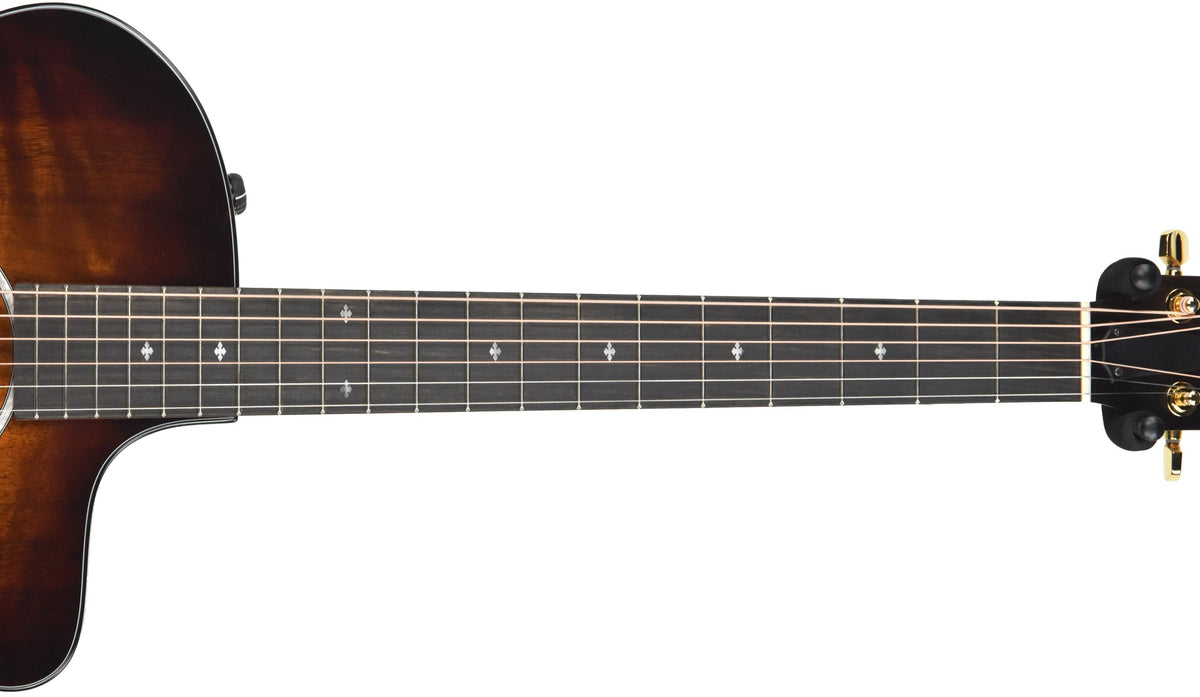 Taylor 224ce-K Deluxe Koa Acoustic-Electric 2212090266