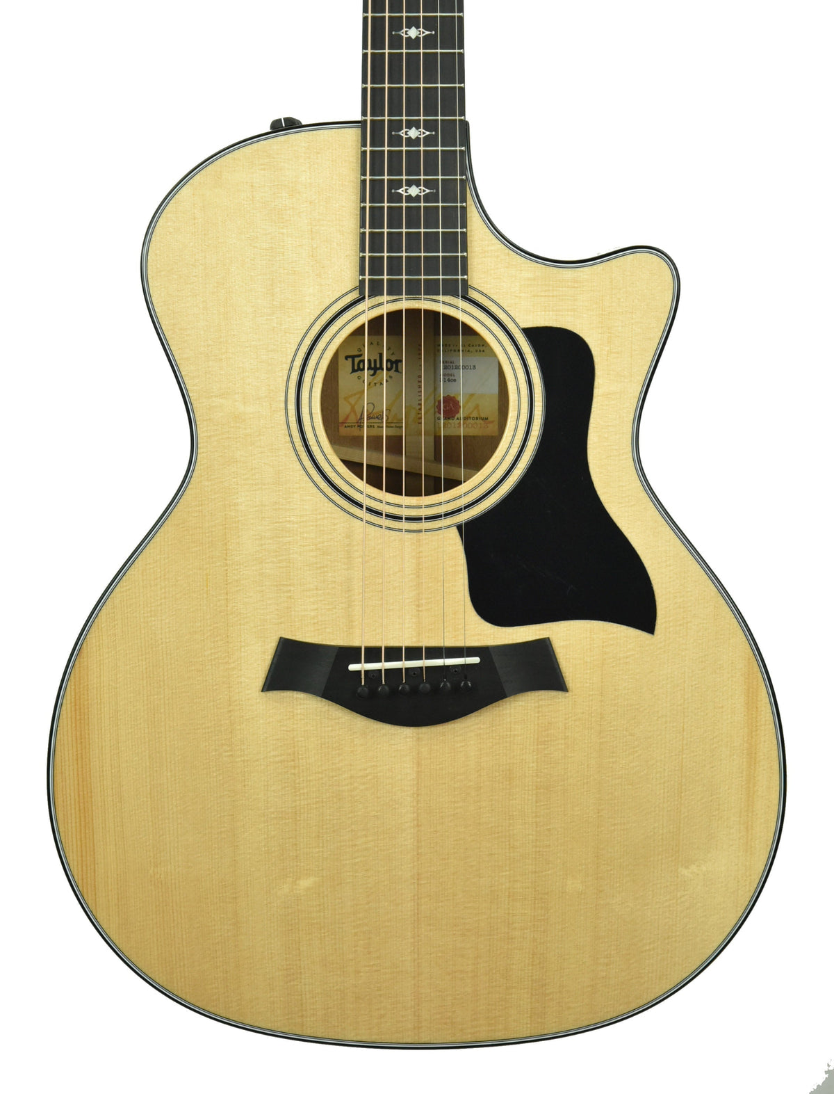 Taylor 314ce Acoustic Electric Guitar 1201200013