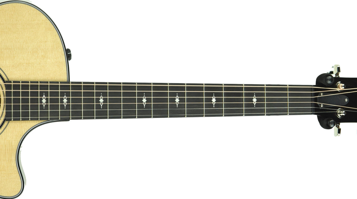 Taylor 314ce Acoustic Electric Guitar 1201200013