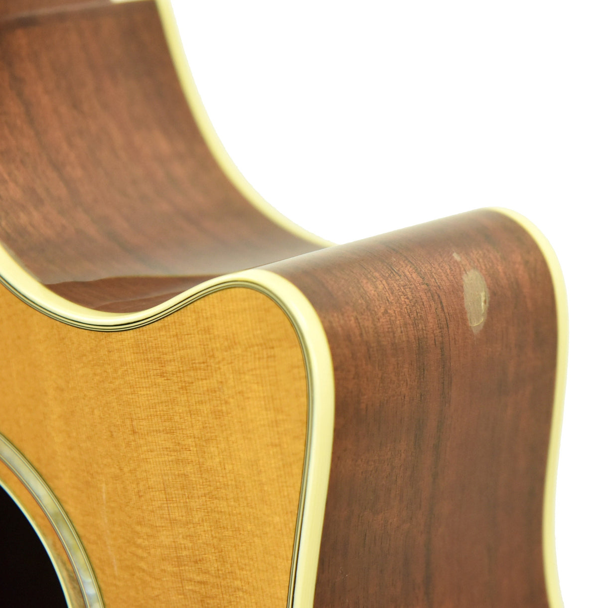 Used 2002 Taylor W-14-CE Acoustic Guitar in Natural 20020813156