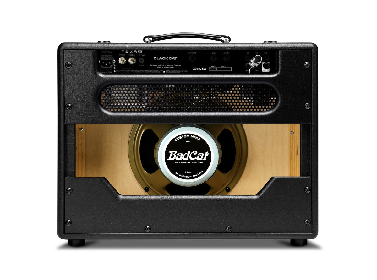 Bad Cat Black Cat 1x12 Combo