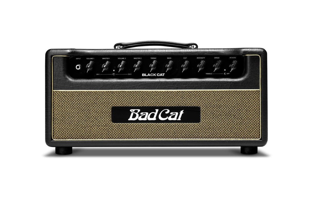 Bad Cat Black Cat Head