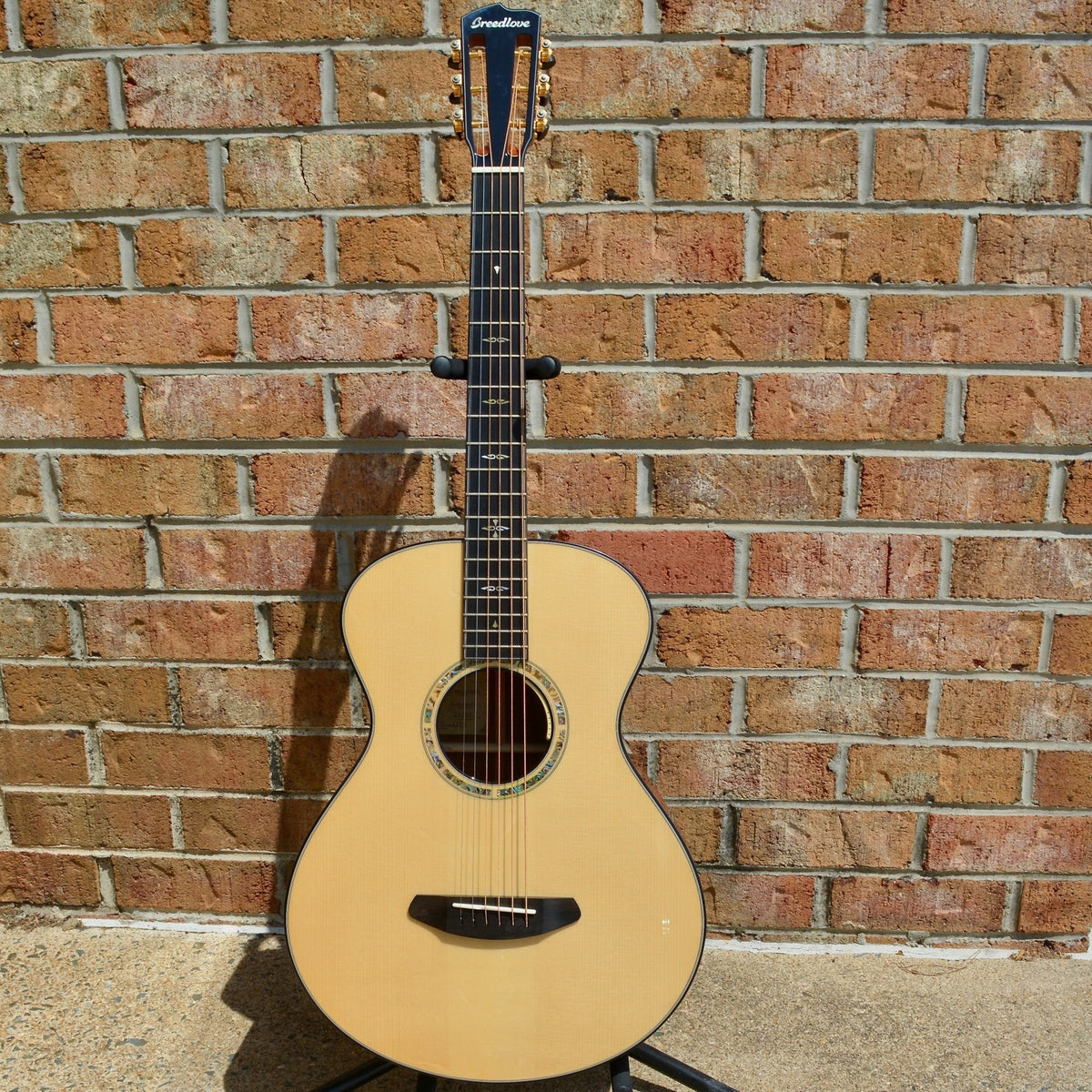 Breedlove Masterclass Custom Concertina Left Handed Adirondack Spruce - Cocobolo