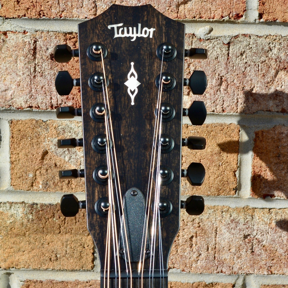 Taylor 362ce