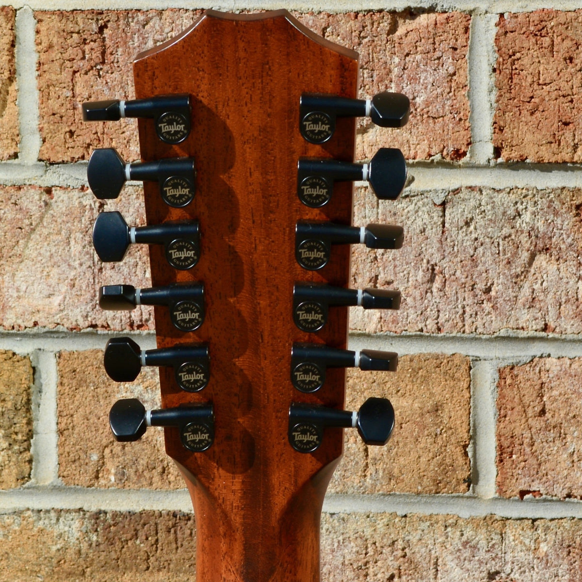 Taylor 362ce