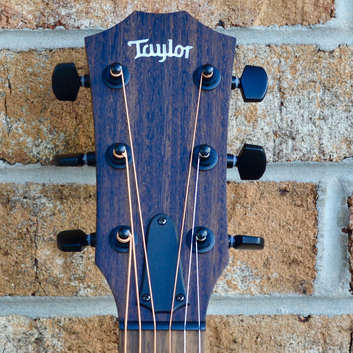 Taylor AD12e-SB