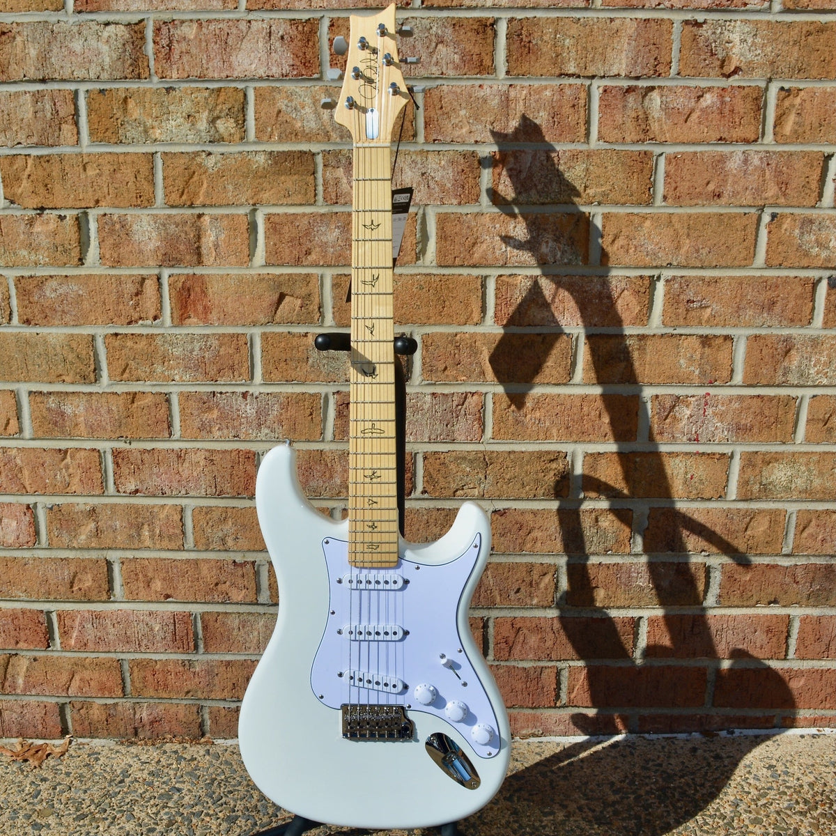 PRS Silver Sky Frost (Maple)