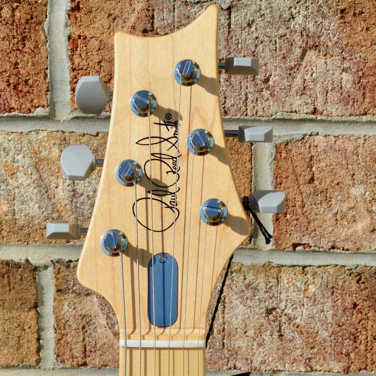 PRS Silver Sky Frost (Maple)
