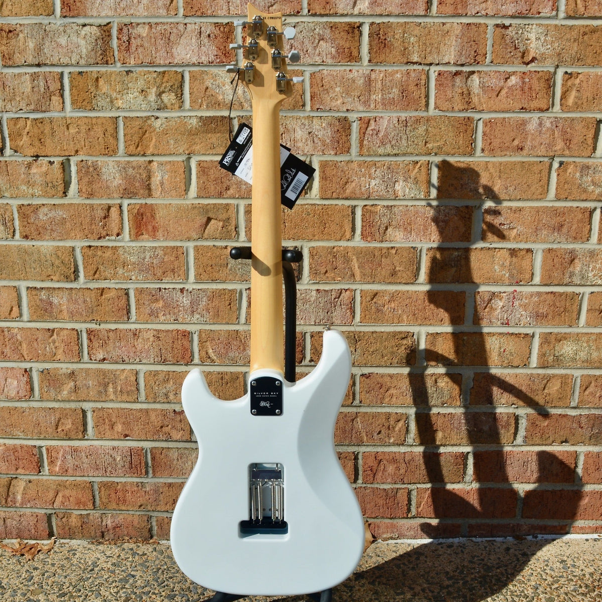 PRS Silver Sky Frost (Maple)