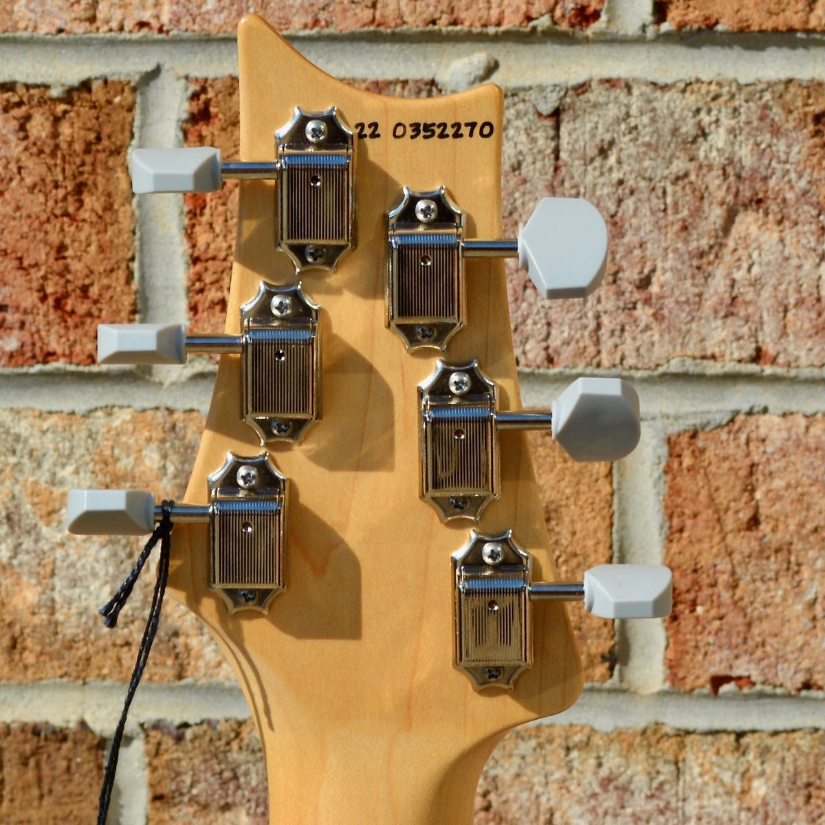 PRS Silver Sky Frost (Maple)