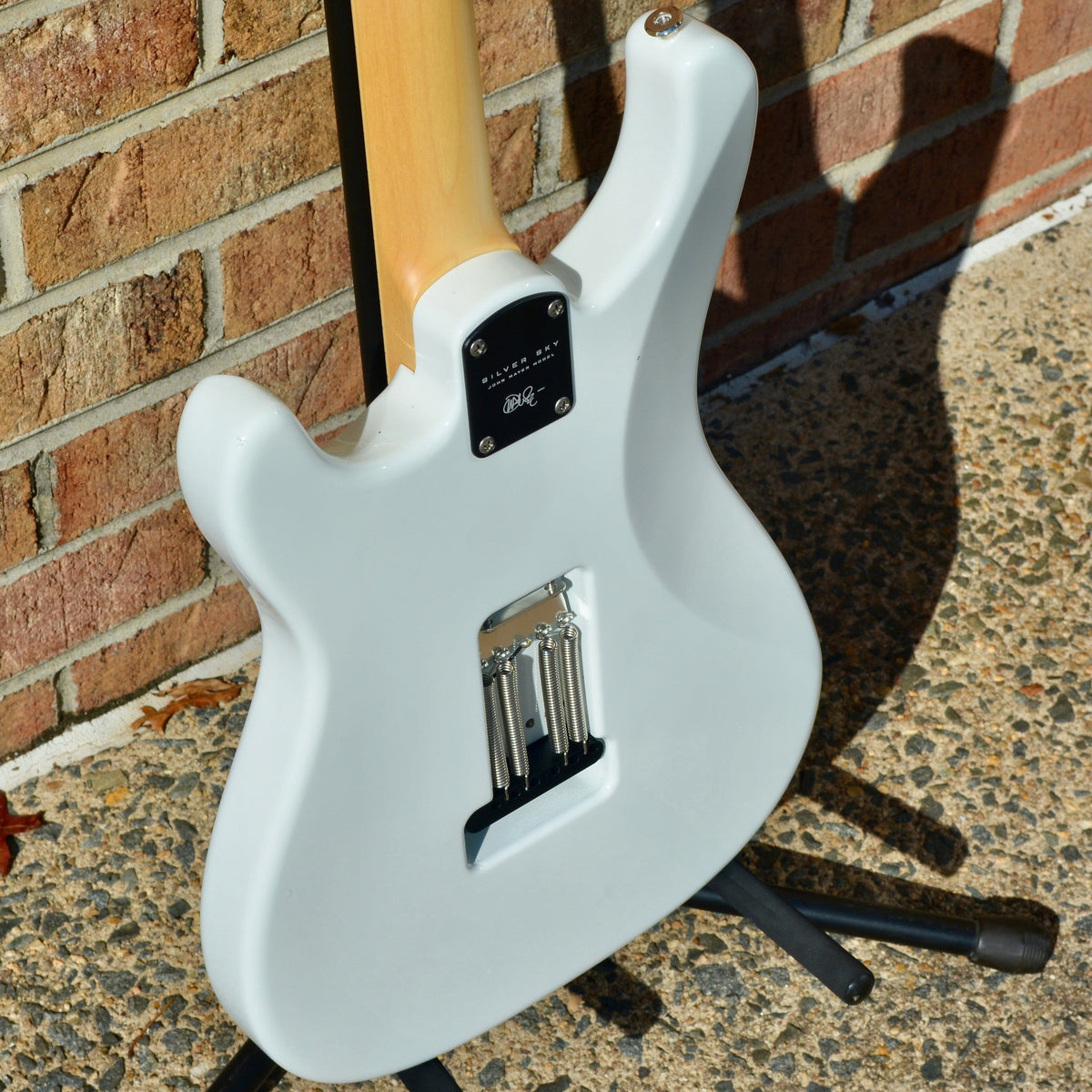 PRS Silver Sky Frost (Maple)