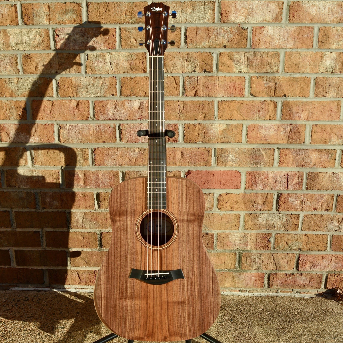 Taylor Academy 20e