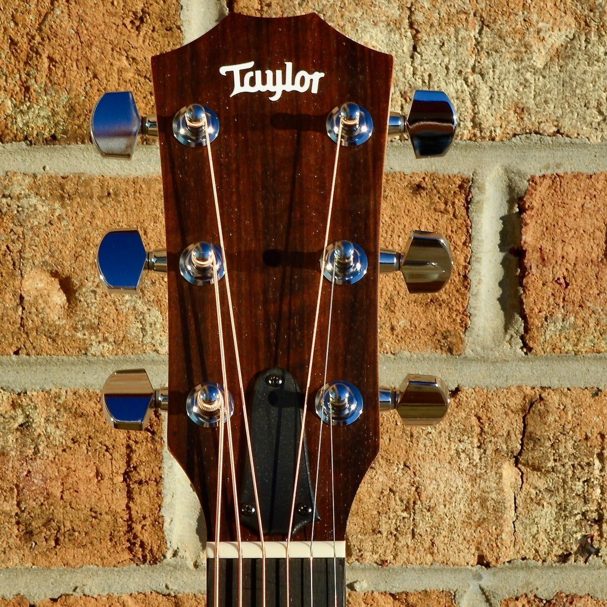 Taylor Academy 20e