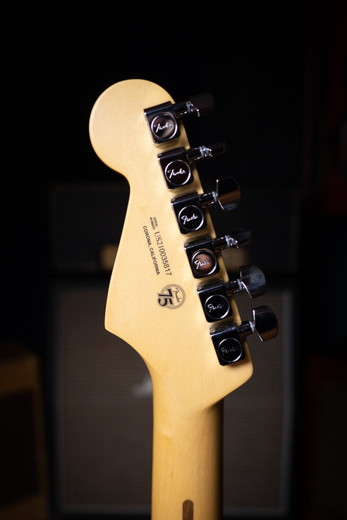 Fender American Professional II Stratocaster Rosewood Fretboard Electric Guitar - Miami Blue