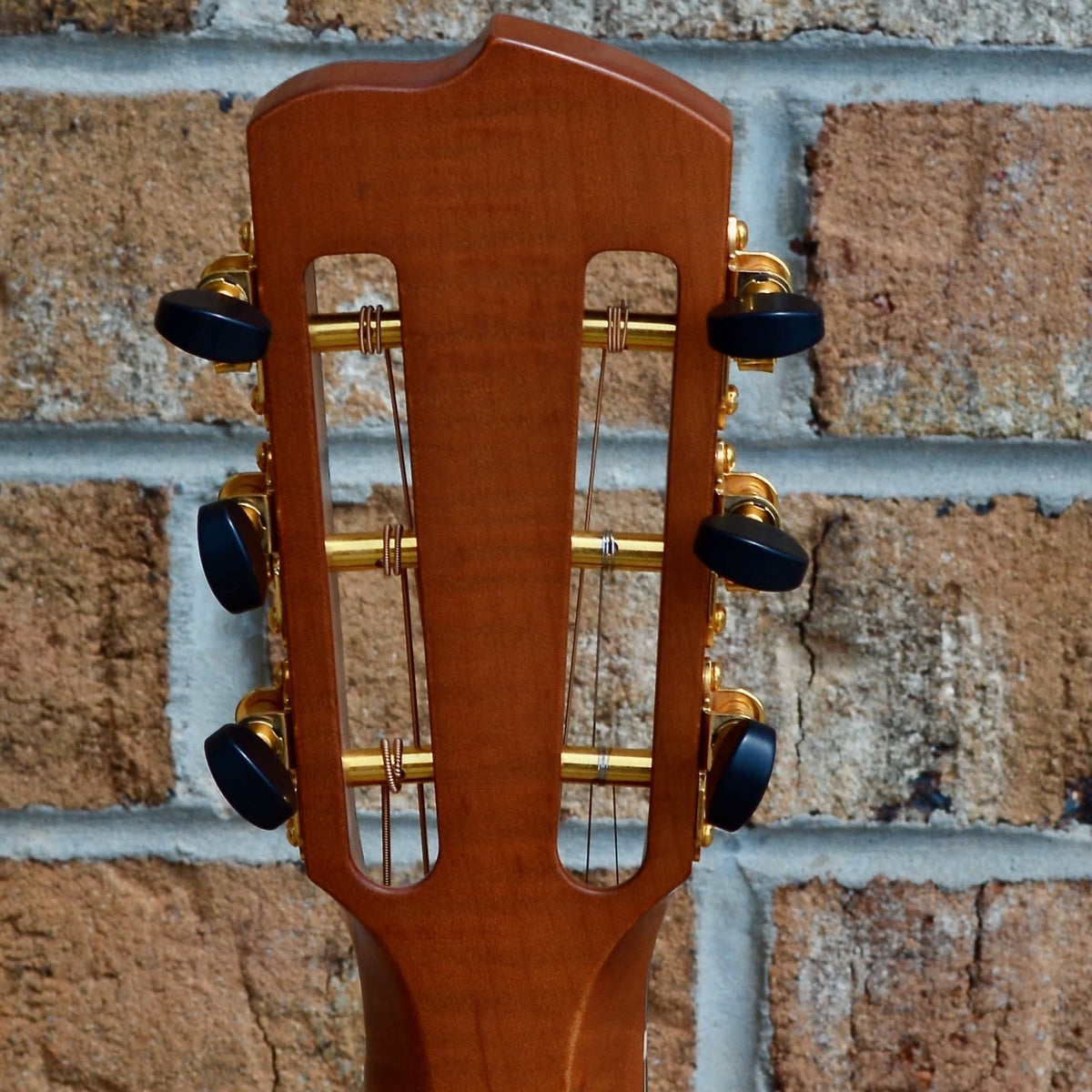 Breedlove Masterclass Custom Concertina Left Handed Adirondack Spruce - Cocobolo